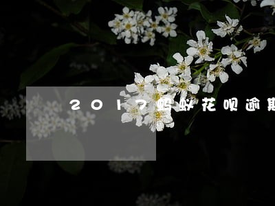 2017蚂蚁花呗逾期还款 2017蚂蚁花呗逾期还款