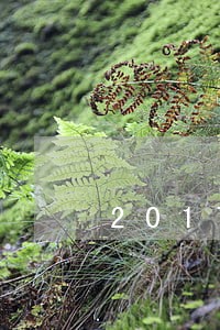 2017逾期付款利息计算