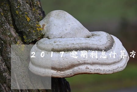 2017逾期利息计算方法