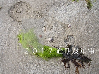 2017逾期没年审一年 2017逾期没年审一年