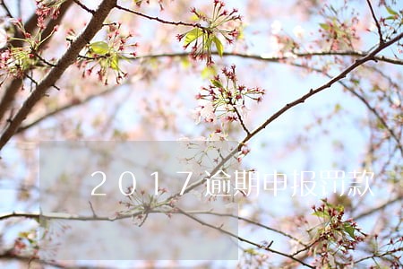 2017逾期申报罚款 2017逾期申报罚款