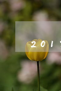 2017逾期贷款网贷 2017逾期贷款网贷