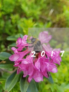 2017逾期验车处罚规定 2017逾期验车处罚规定