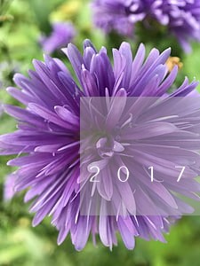 2017银行贷款的逾期率 2017银行贷款的逾期率