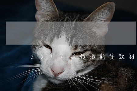 2017银行逾期贷款利率 2017银行逾期贷款利率
