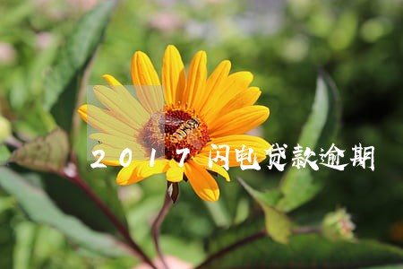 2017闪电贷款逾期 2017闪电贷款逾期