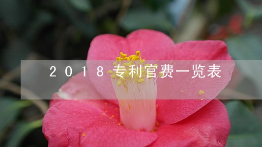 2018专利官费一览表 2018专利官费一览表