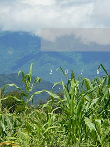 2018买单侠只还本金 2018买单侠只还本金