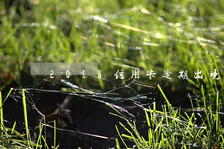 2018信用卡逾期出境 2018信用卡逾期出境