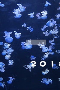 2018信用卡逾期影响 2018信用卡逾期影响