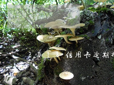 2018信用卡逾期排行 2018信用卡逾期排行