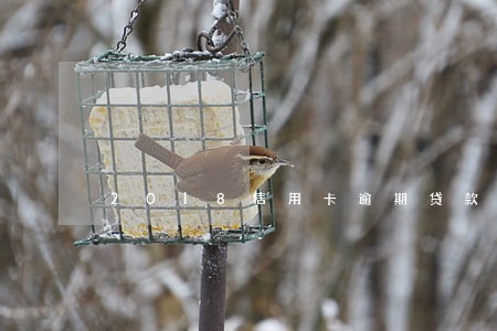 2018信用卡逾期贷款