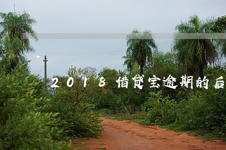 2018借贷宝逾期的后果 2018借贷宝逾期的后果