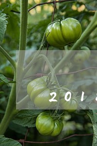 2018借贷宝逾期管理费 2018借贷宝逾期管理费