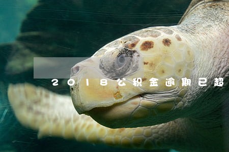 2018公积金逾期已超10亿 2018公积金逾期已超10亿