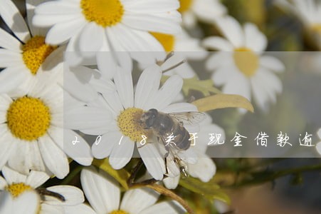 2018关于现金借款逾期 2018关于现金借款逾期