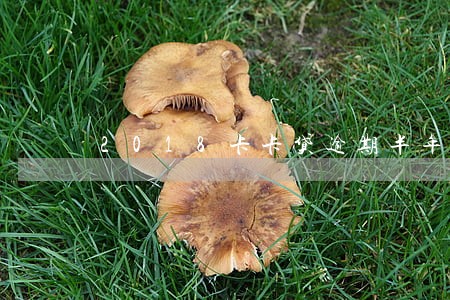 2018卡卡贷逾期半年 2018卡卡贷逾期半年
