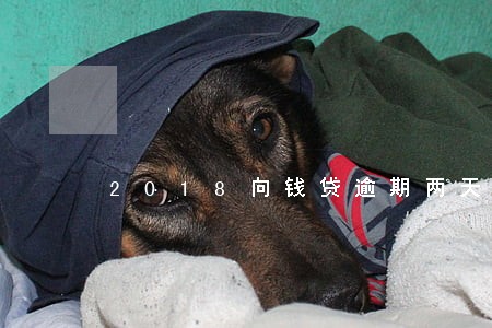 2018向钱贷逾期两天可以吗 2018向钱贷逾期两天可以吗