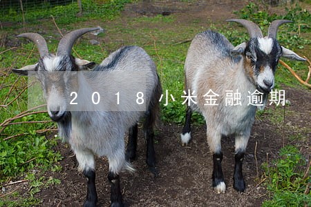 2018小米金融逾期 2018小米金融逾期