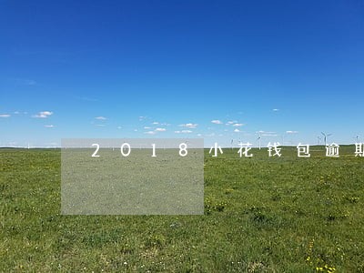 2018小花钱包逾期多久 2018小花钱包逾期多久