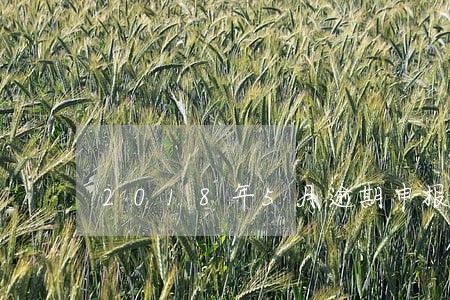 2018年5月逾期申报怎么办 2018年5月逾期申报怎么办