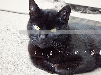 2018年上半年逾期债 2018年上半年逾期债