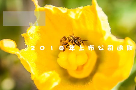 2018年上市公司逾期 2018年上市公司逾期