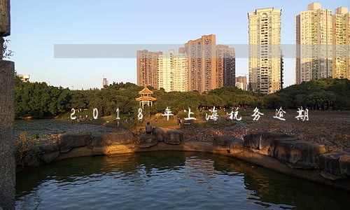 2018年上海税务逾期