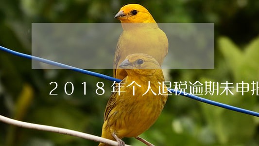 2018年个人退税逾期未申报 2018年个人退税逾期未申报
