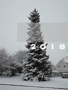 2018年中国各省离婚排名 2018年中国各省离婚排名