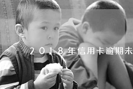 2018年信用卡逾期未偿还规模 2018年信用卡逾期未偿还规模