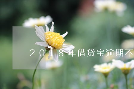 2018年借贷宝逾期不还 2018年借贷宝逾期不还