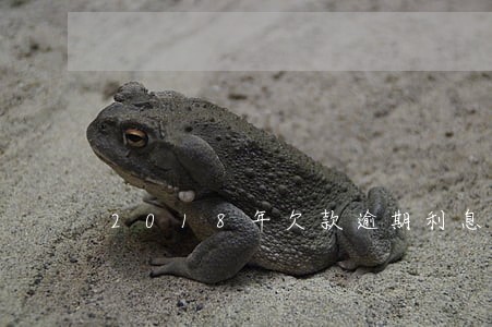 2018年欠款逾期利息怎么算 2018年欠款逾期利息怎么算