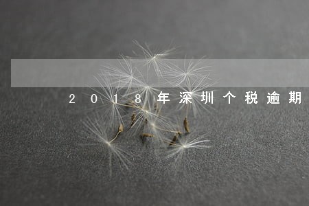 2018年深圳个税逾期申报 2018年深圳个税逾期申报