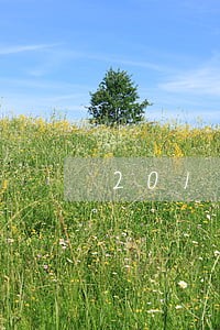 2018年玖富叮当贷逾期 2018年玖富叮当贷逾期