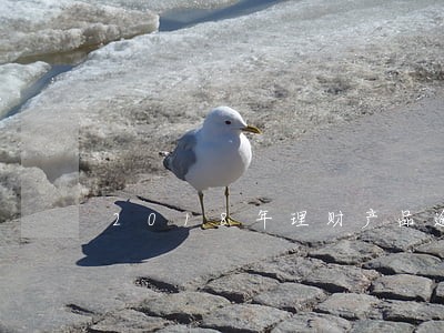 2018年理财产品逾期 2018年理财产品逾期