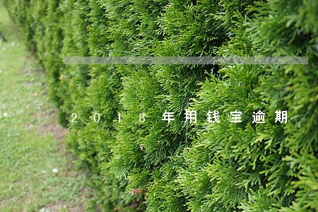 2018年用钱宝逾期