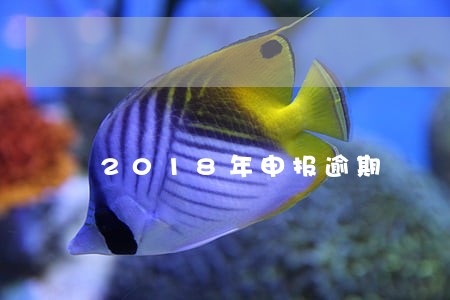 2018年申报逾期 2018年申报逾期