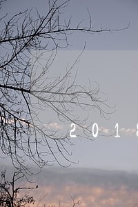 2018年米缸金融逾期