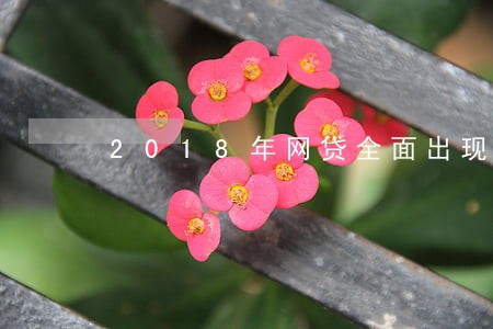 2018年网贷全面出现逾期