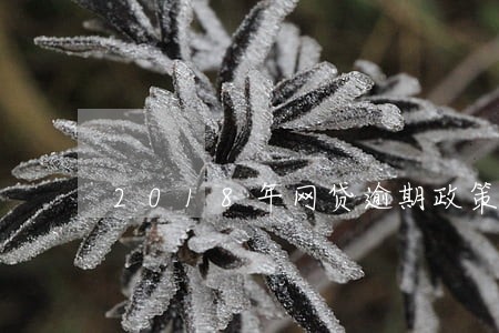 2018年网贷逾期政策 2018年网贷逾期政策