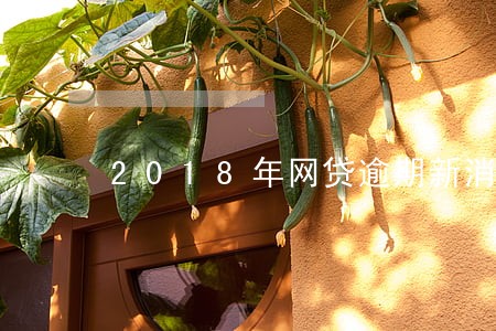 2018年网贷逾期新消息 2018年网贷逾期新消息