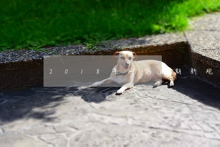 2018年网贷逾期新规 2018年网贷逾期新规