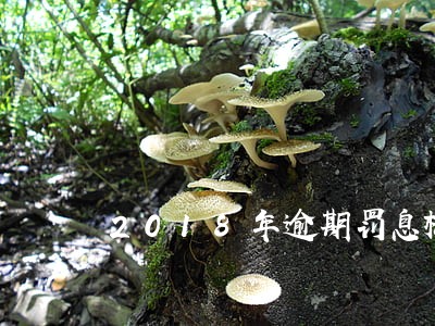 2018年逾期罚息标准 2018年逾期罚息标准