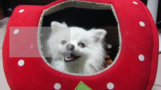 2018年逾期金额 2018年逾期金额