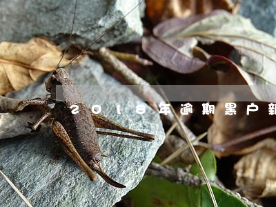 2018年逾期黑户新口子 2018年逾期黑户新口子