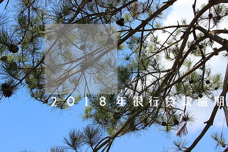2018年银行贷款逾期罚息 2018年银行贷款逾期罚息