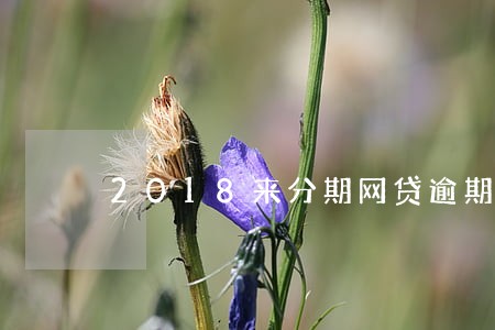 2018来分期网贷逾期 2018来分期网贷逾期
