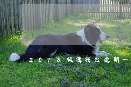 2018极速钱包逾期一天 2018极速钱包逾期一天
