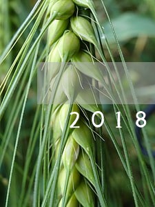 2018现金借款逾期几天轰炸